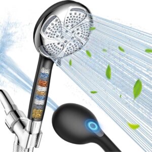 Filtered Shower Head with Handheld